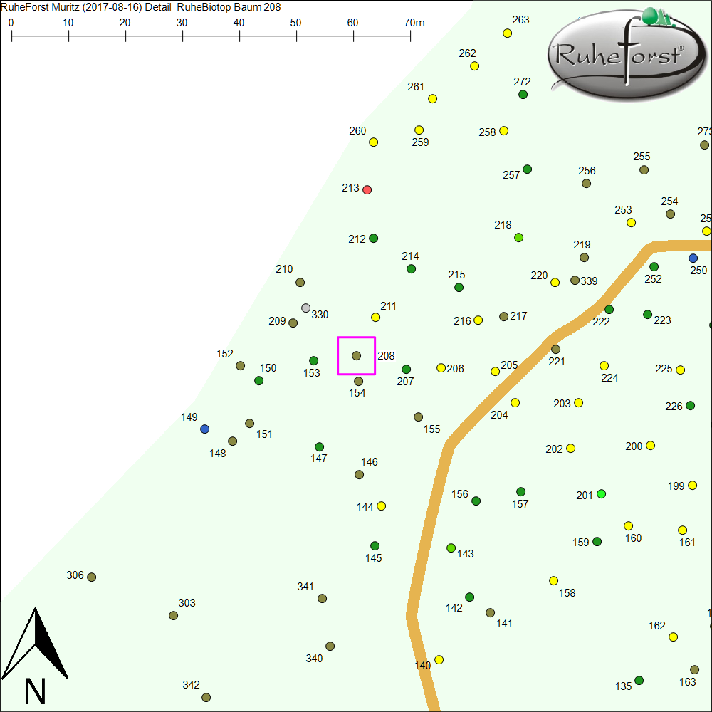 Detailkarte zu Baum 208