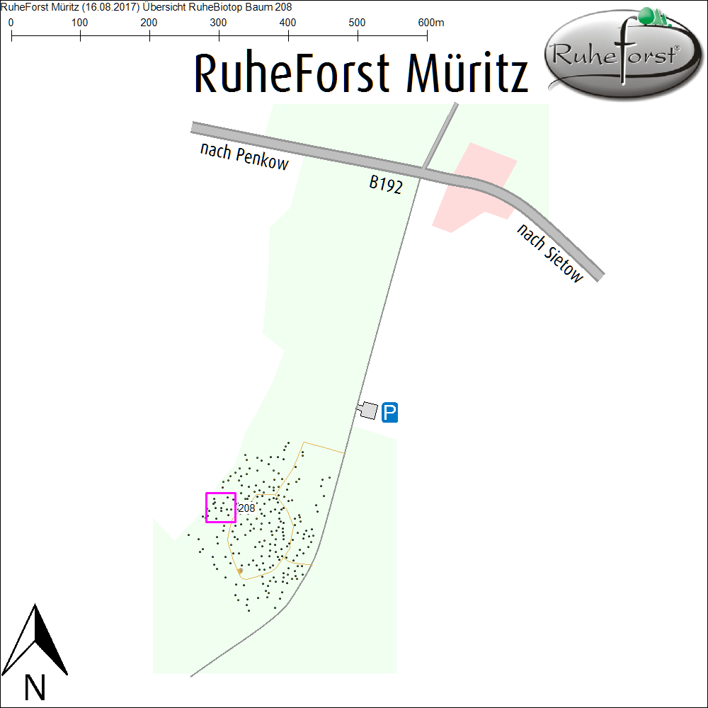 Übersichtskarte zu Baum 208