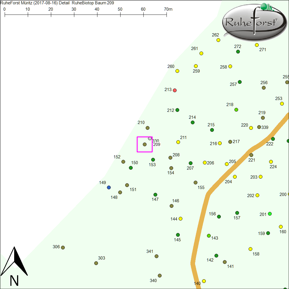 Detailkarte zu Baum 209