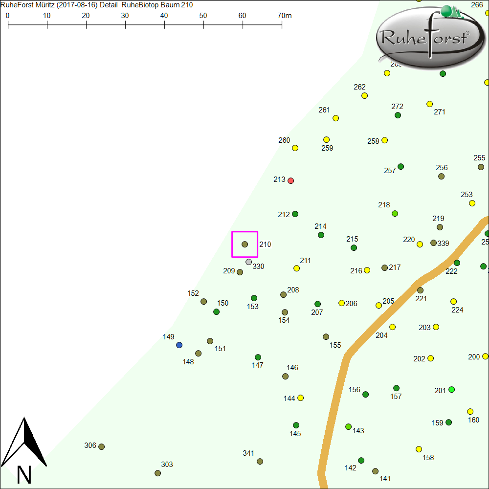 Detailkarte zu Baum 210