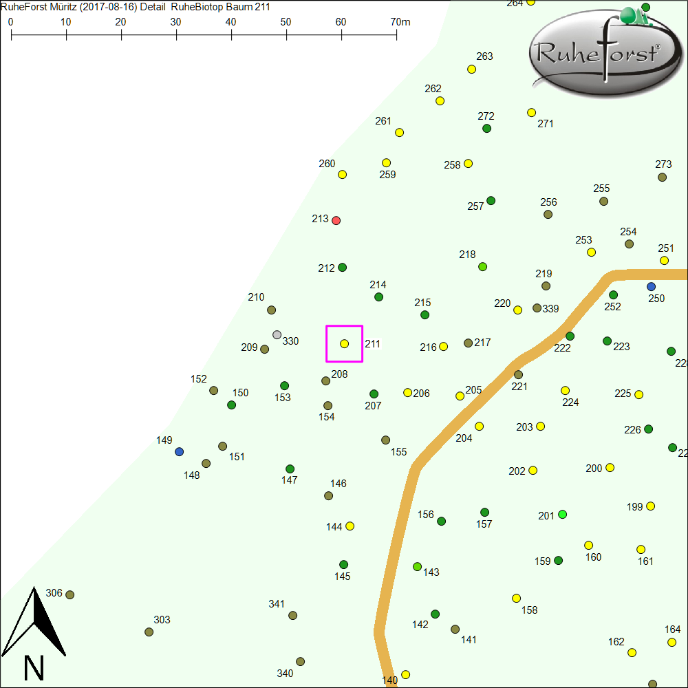 Detailkarte zu Baum 211