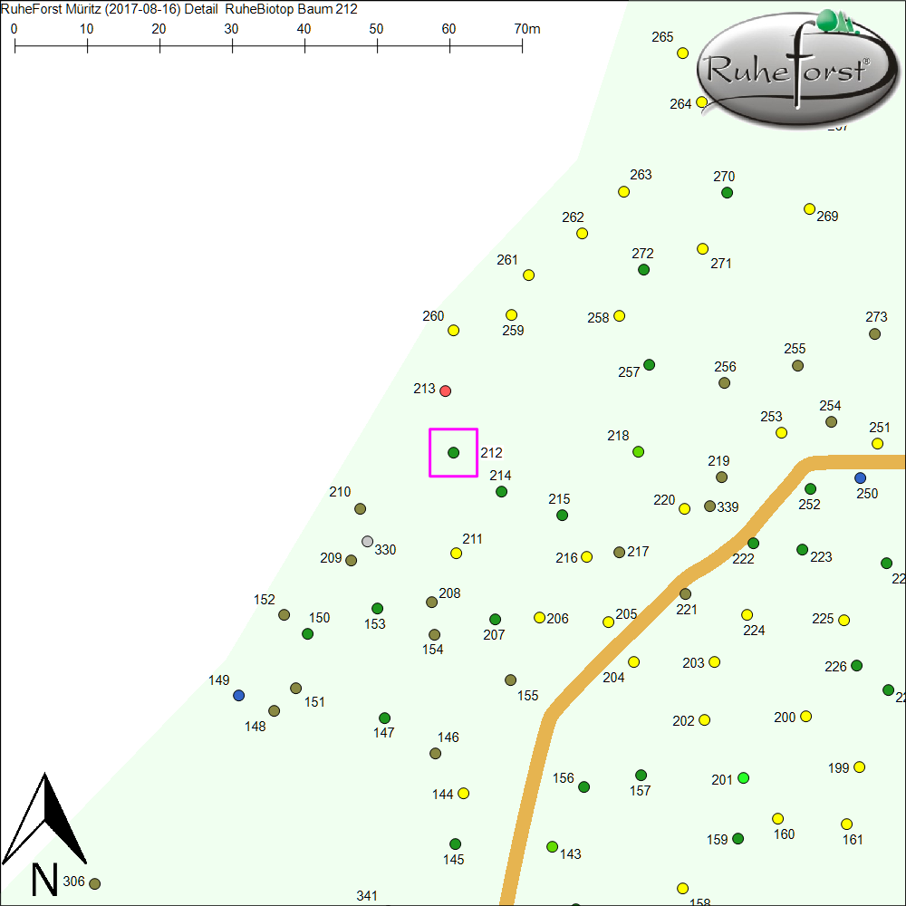 Detailkarte zu Baum 212