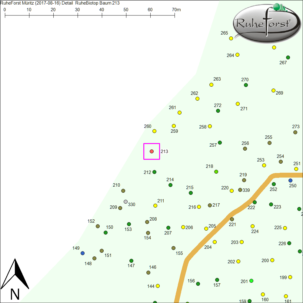 Detailkarte zu Baum 213