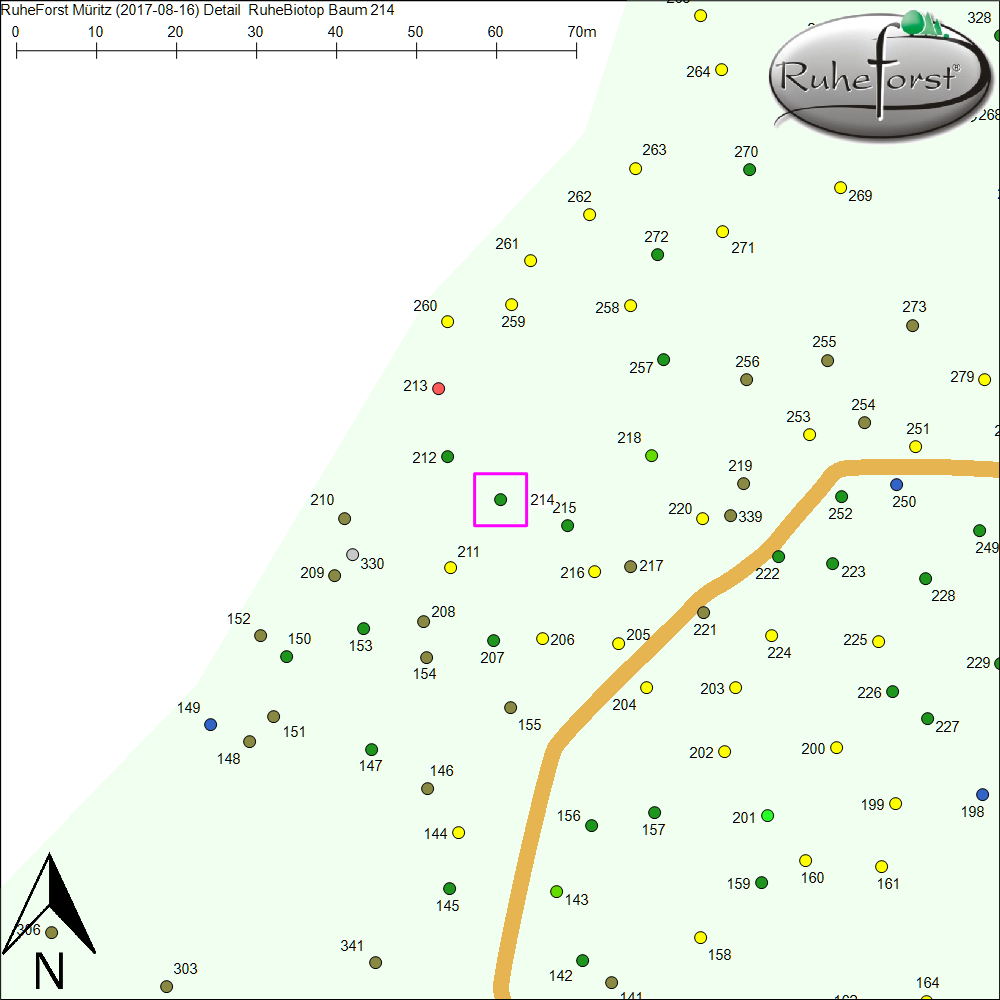 Detailkarte zu Baum 214