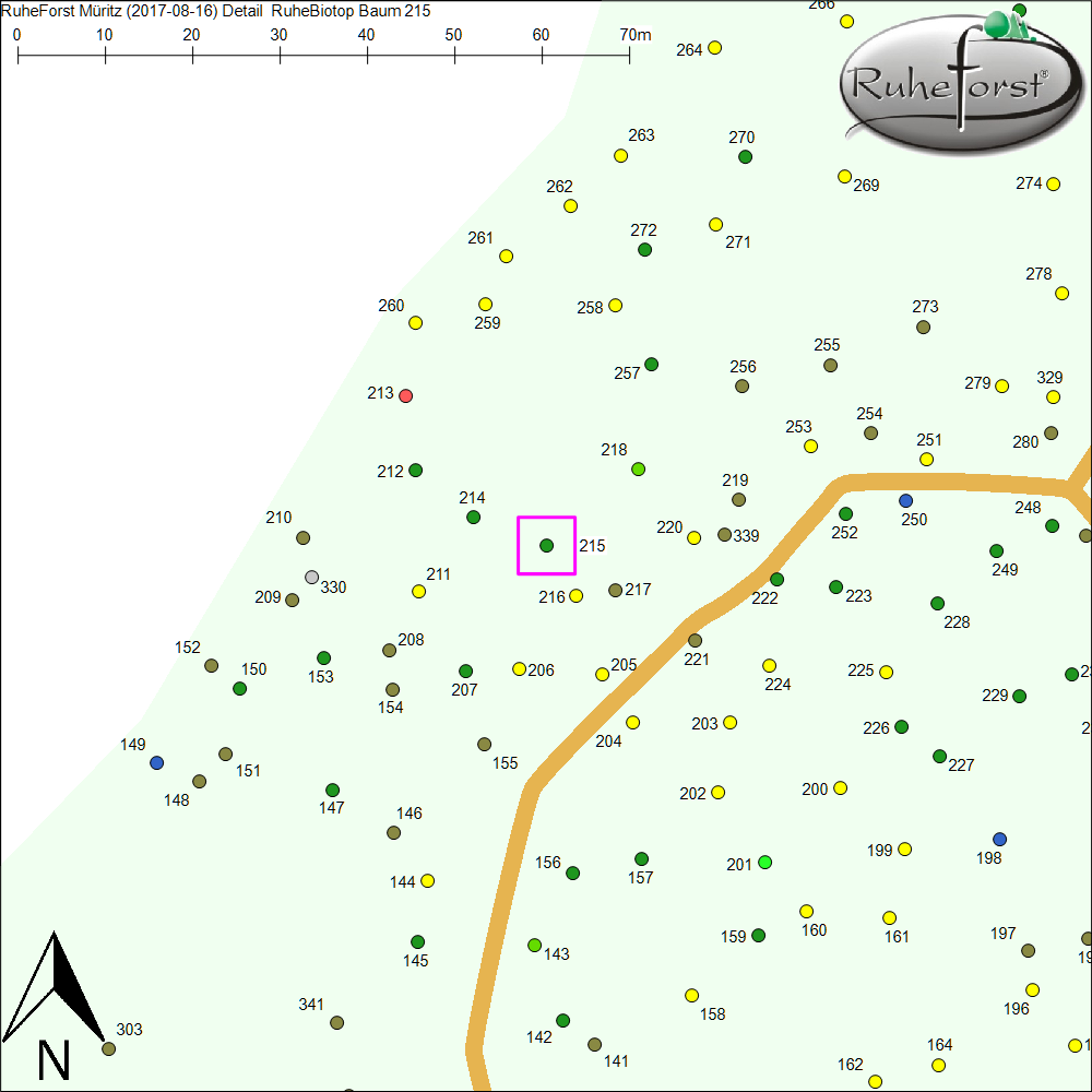 Detailkarte zu Baum 215
