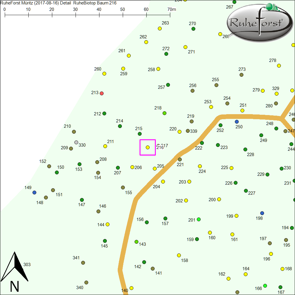Detailkarte zu Baum 216