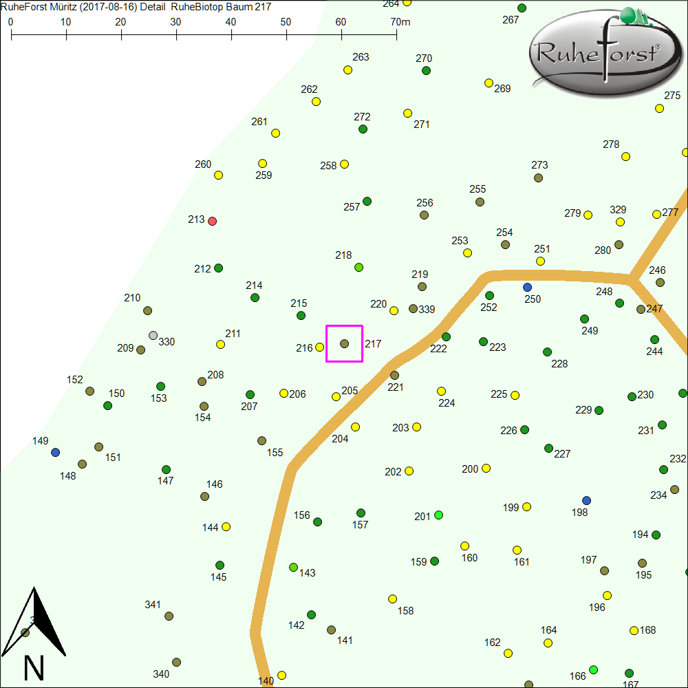 Detailkarte zu Baum 217