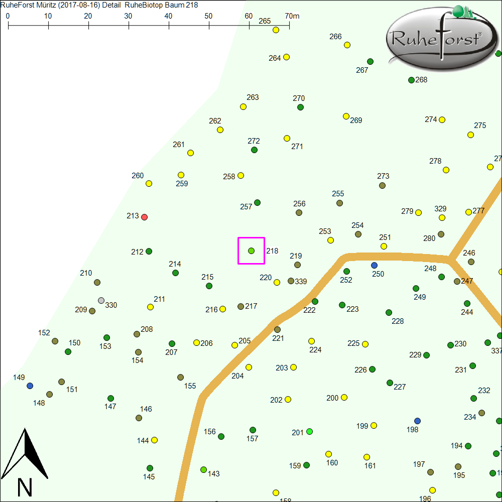Detailkarte zu Baum 218