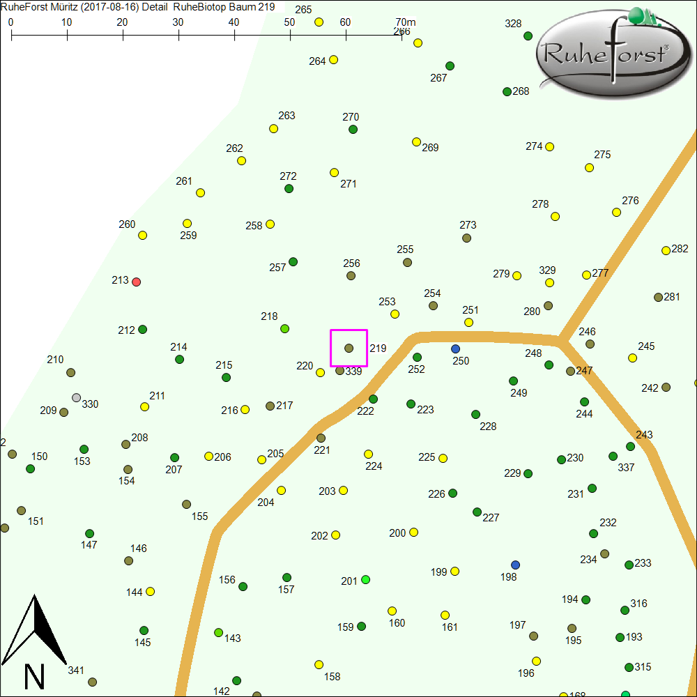 Detailkarte zu Baum 219