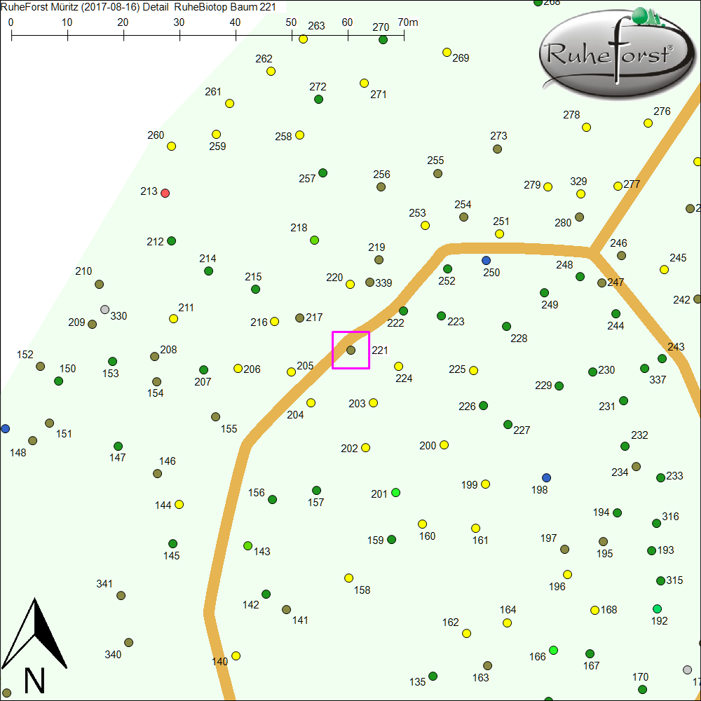 Detailkarte zu Baum 221