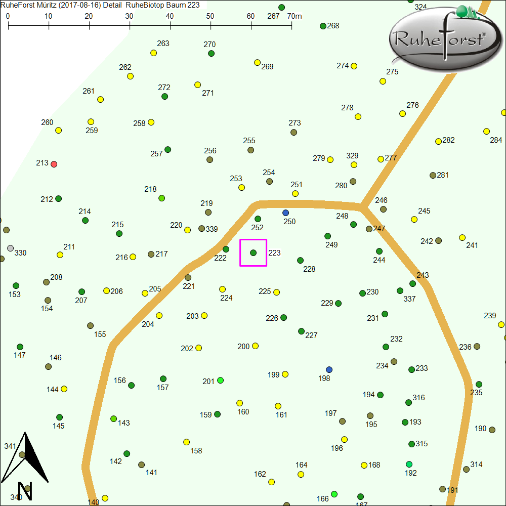 Detailkarte zu Baum 223