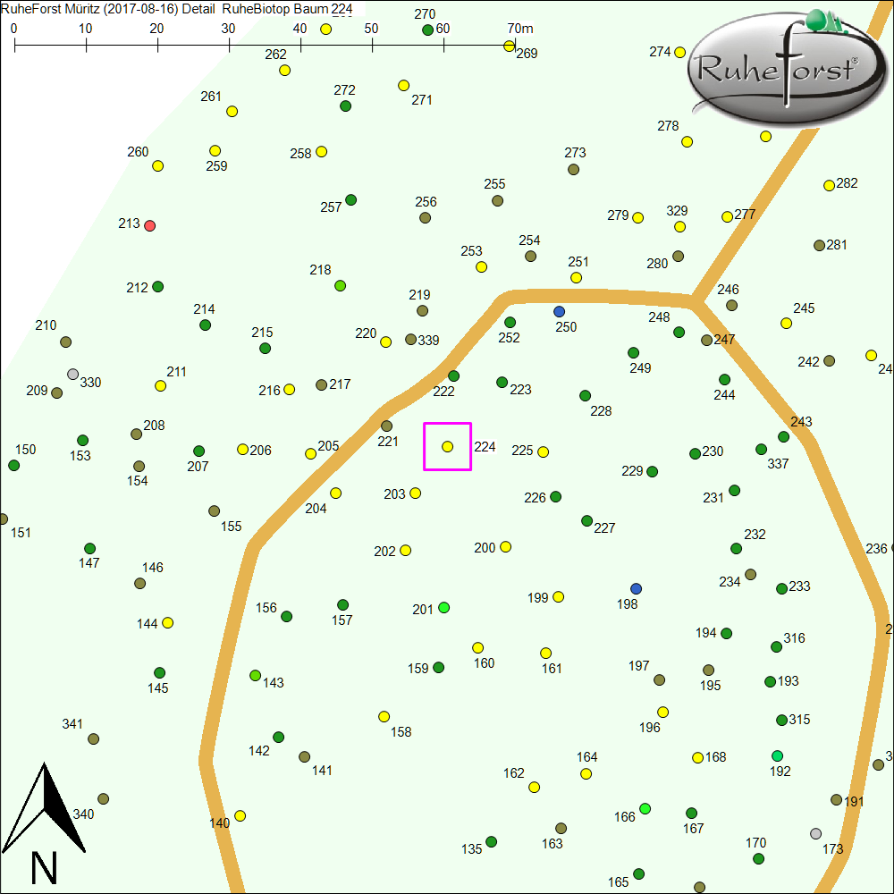 Detailkarte zu Baum 224