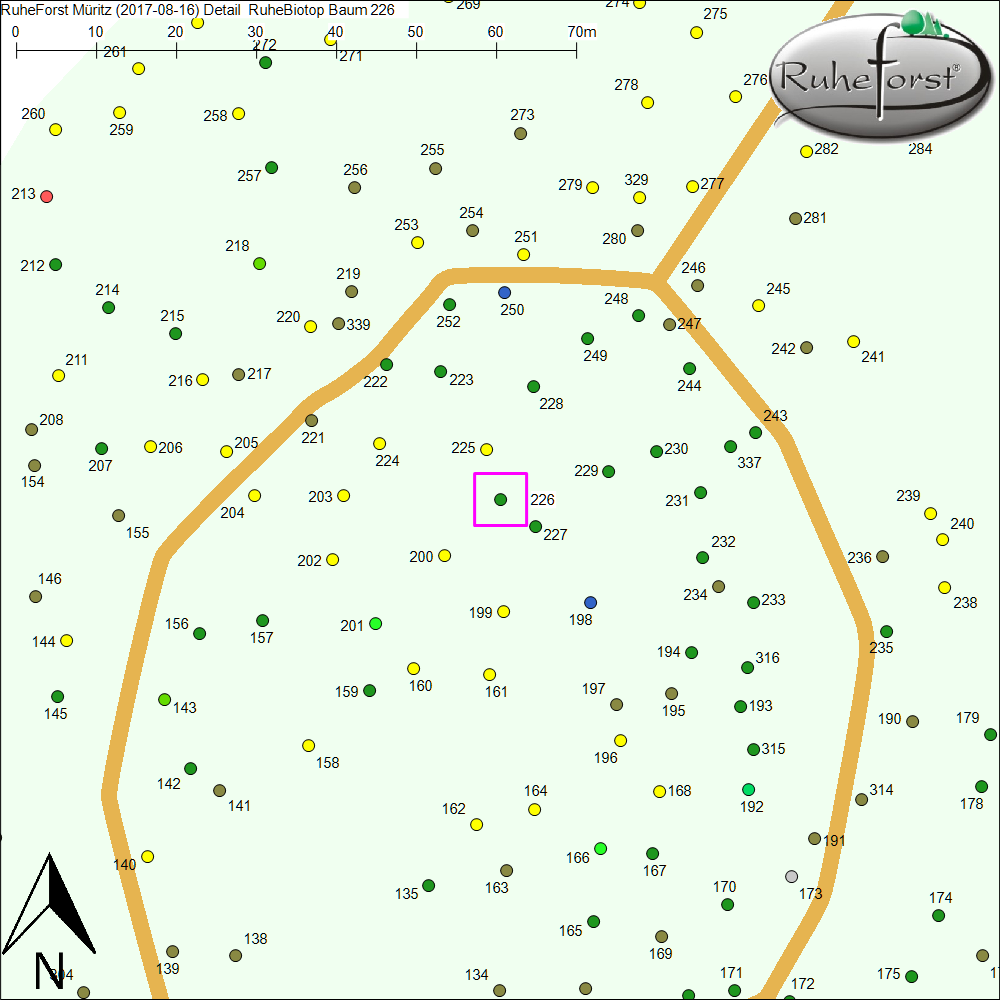 Detailkarte zu Baum 226