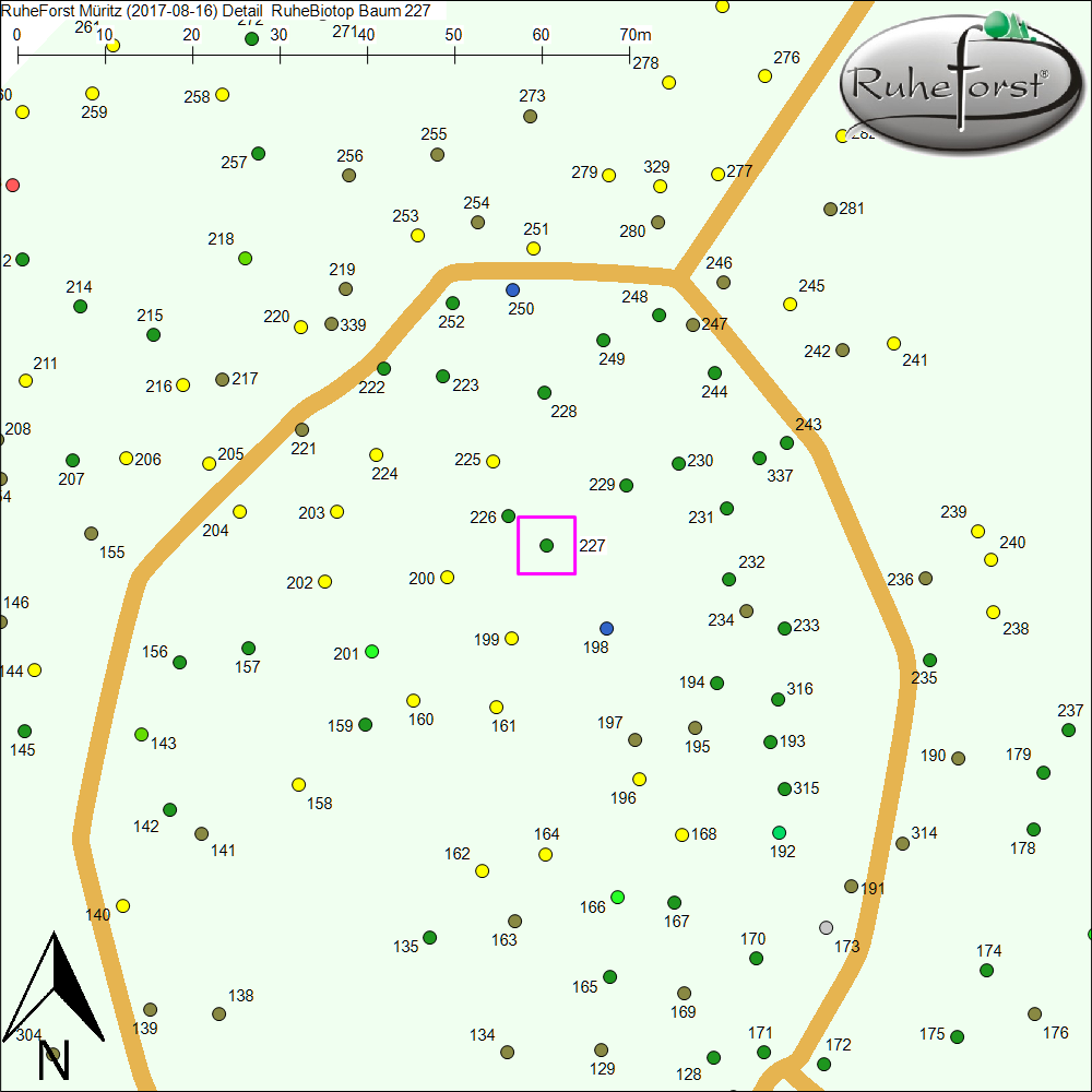 Detailkarte zu Baum 227