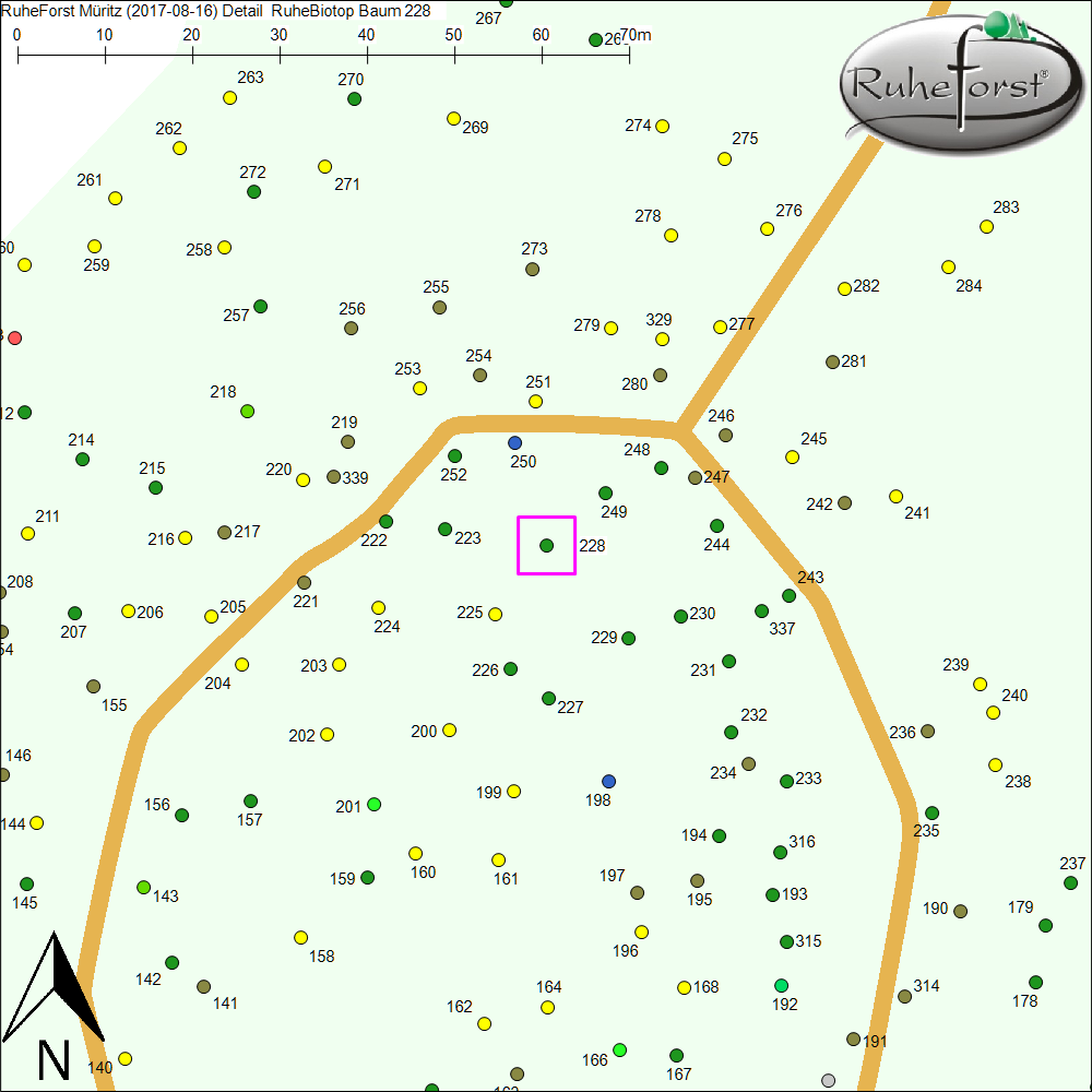 Detailkarte zu Baum 228