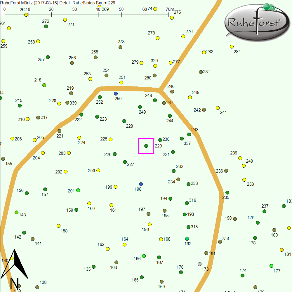 Detailkarte zu Baum 229