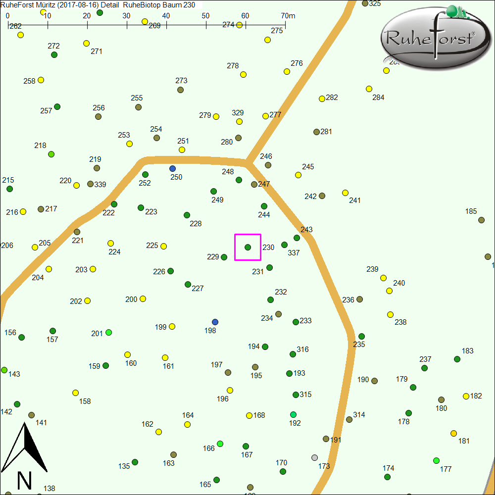 Detailkarte zu Baum 230