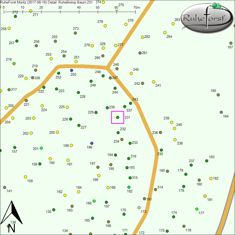 Detailkarte zu Baum 231