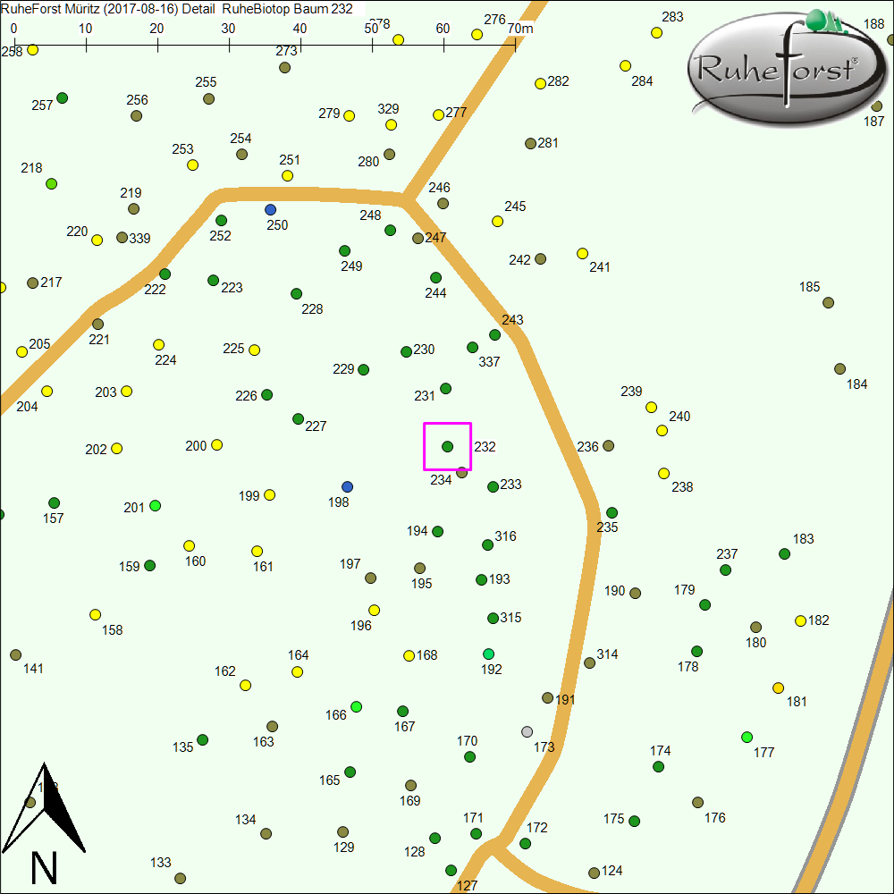 Detailkarte zu Baum 232