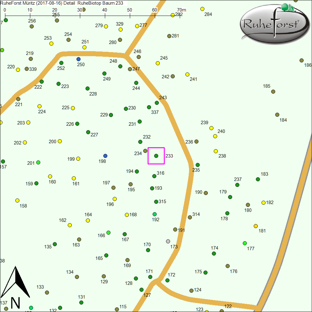 Detailkarte zu Baum 233