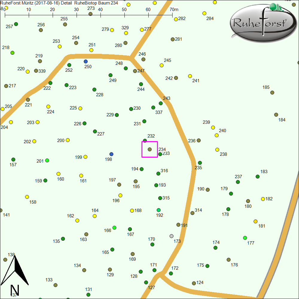 Detailkarte zu Baum 234