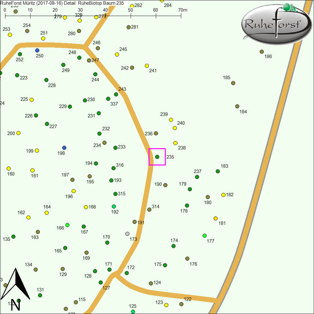 Detailkarte zu Baum 235