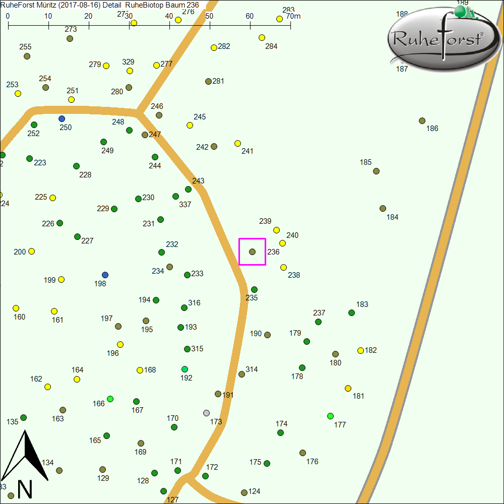Detailkarte zu Baum 236