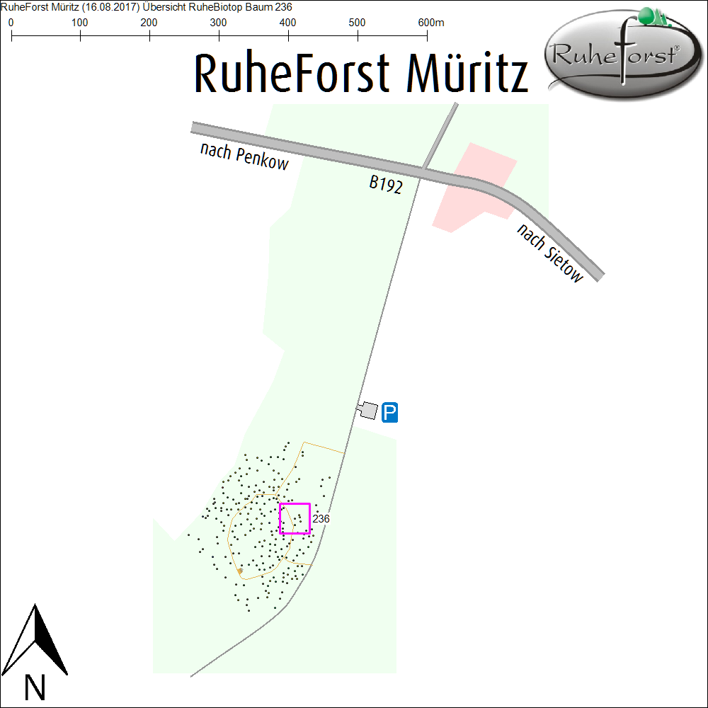 Übersichtskarte zu Baum 236