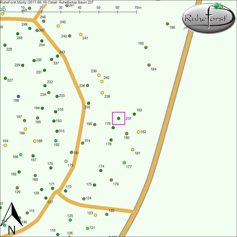 Detailkarte zu Baum 237