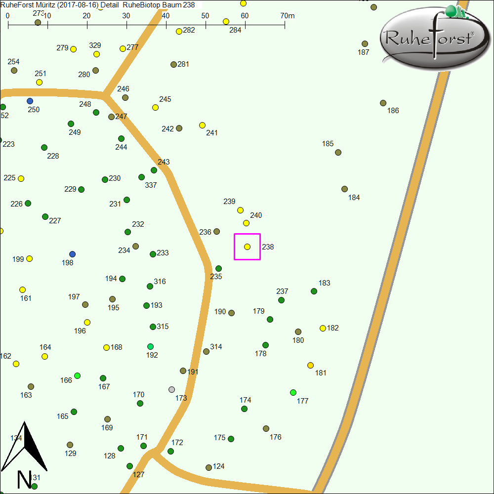 Detailkarte zu Baum 238