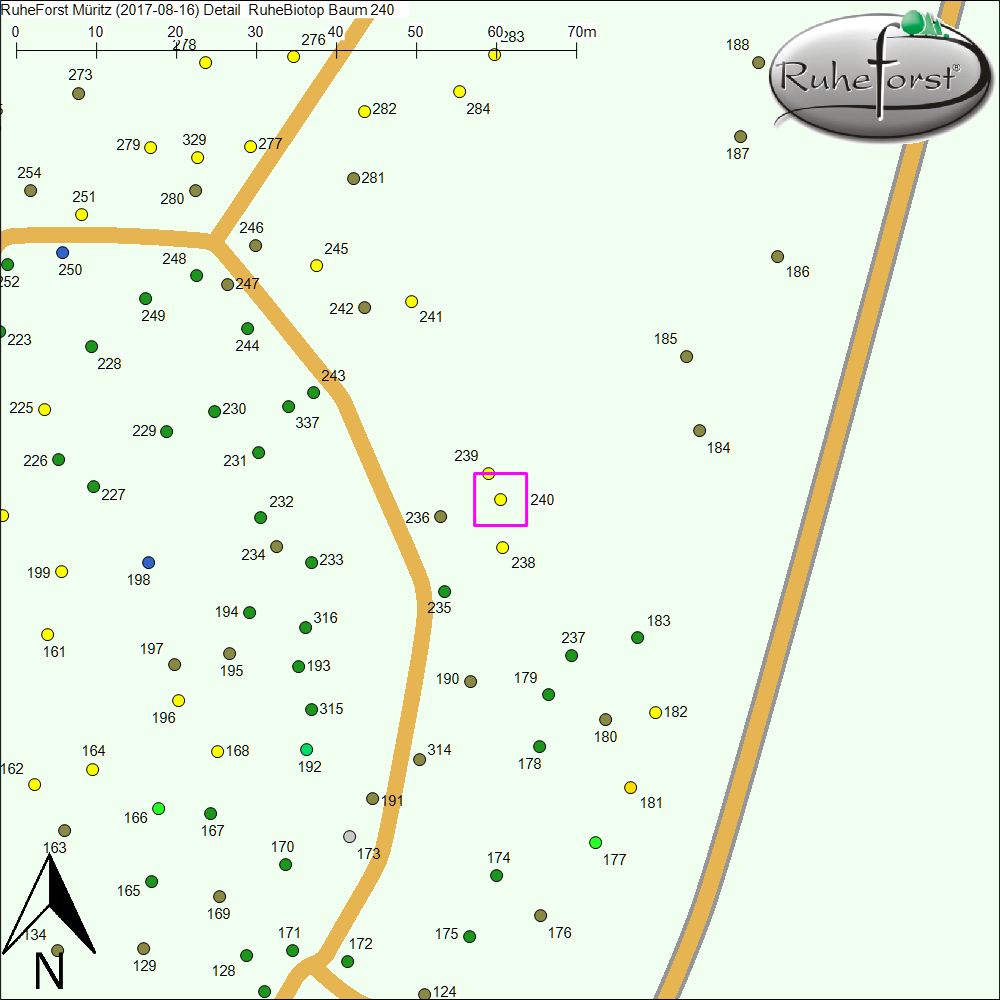 Detailkarte zu Baum 240