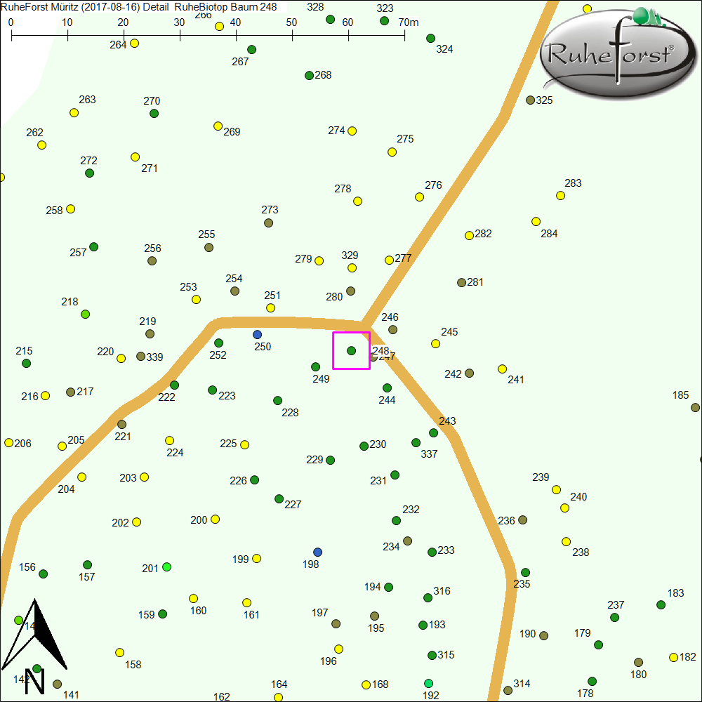 Detailkarte zu Baum 248