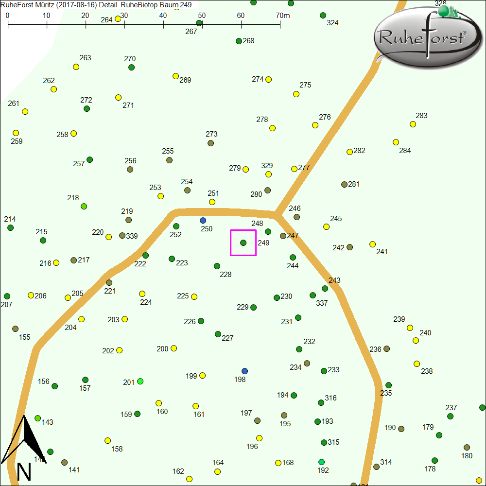 Detailkarte zu Baum 249