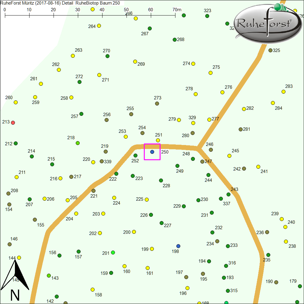 Detailkarte zu Baum 250