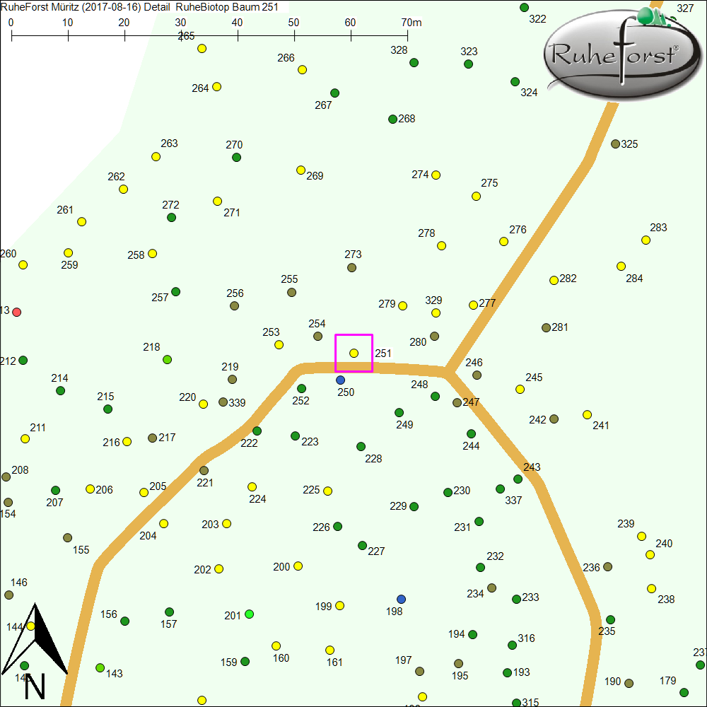 Detailkarte zu Baum 251