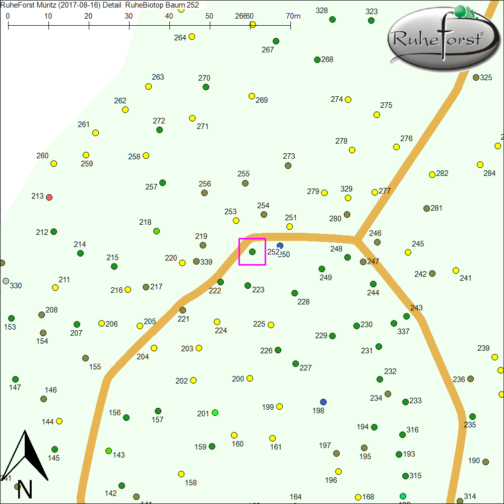 Detailkarte zu Baum 252
