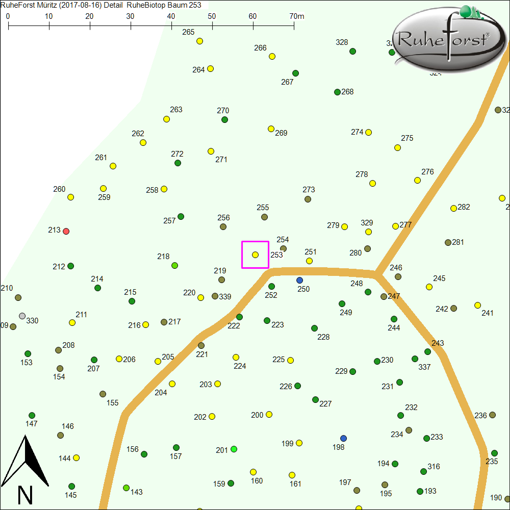 Detailkarte zu Baum 253