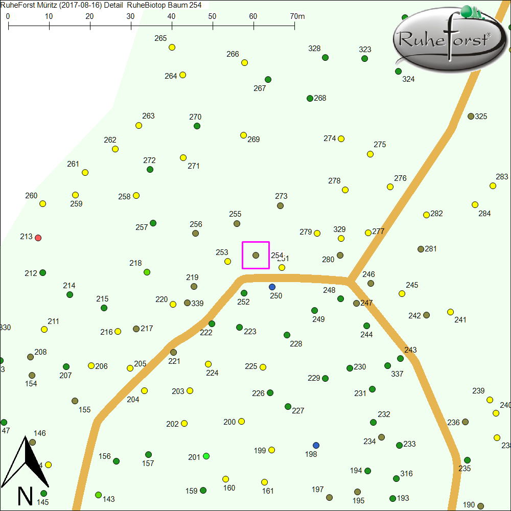 Detailkarte zu Baum 254