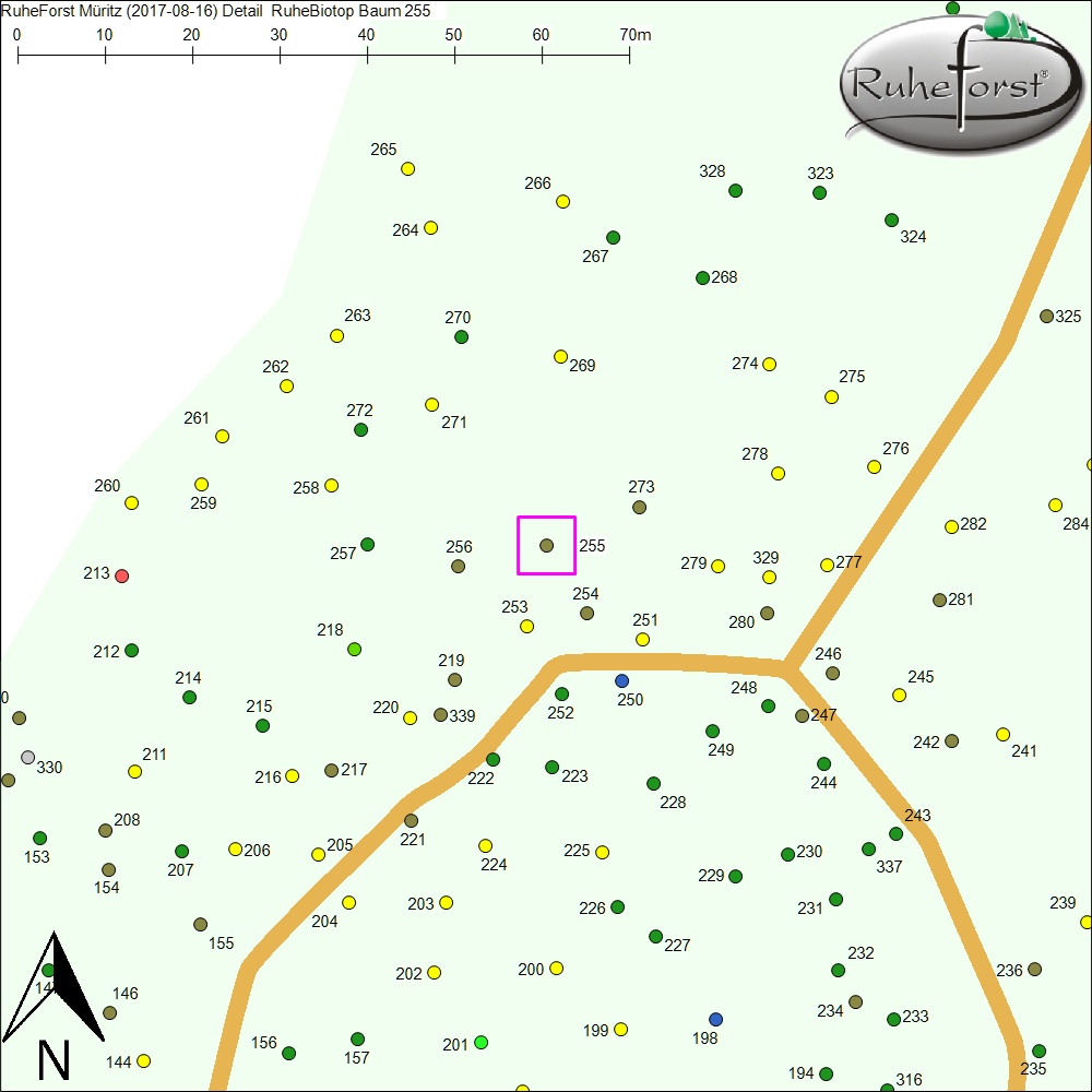 Detailkarte zu Baum 255