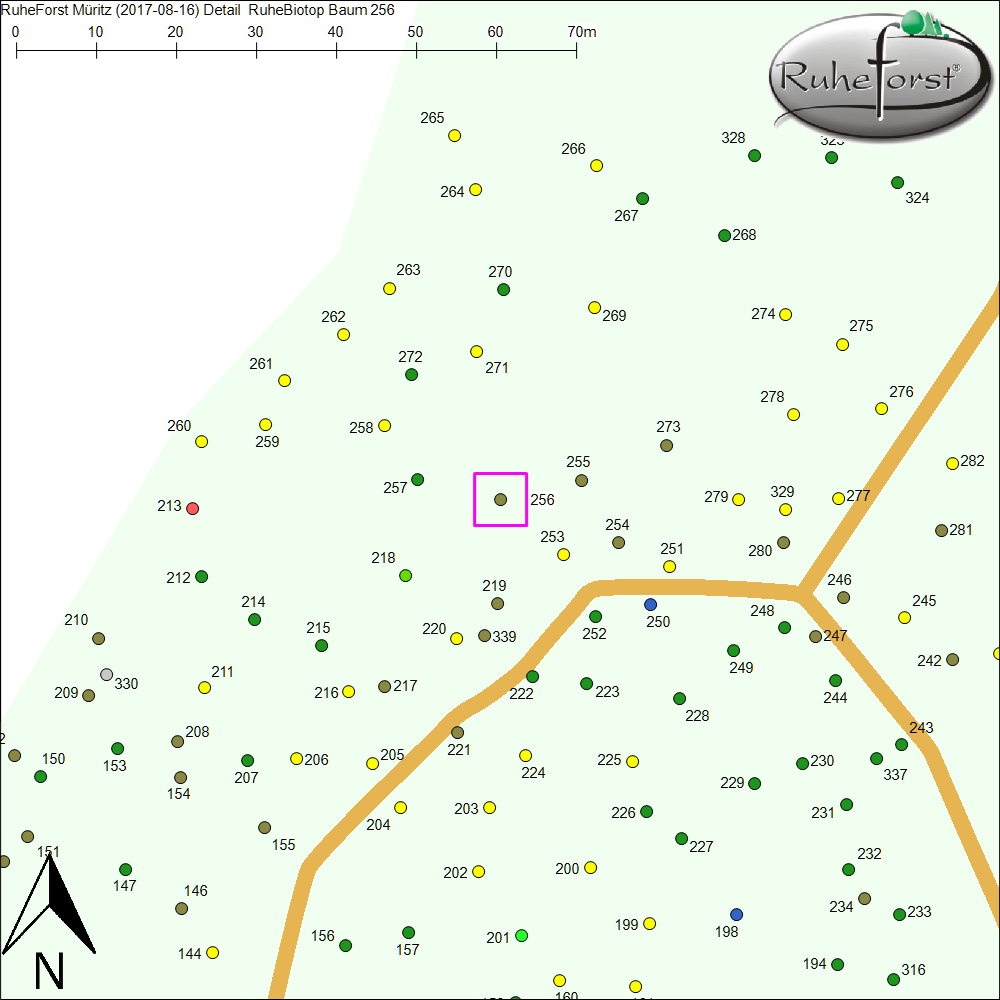 Detailkarte zu Baum 256