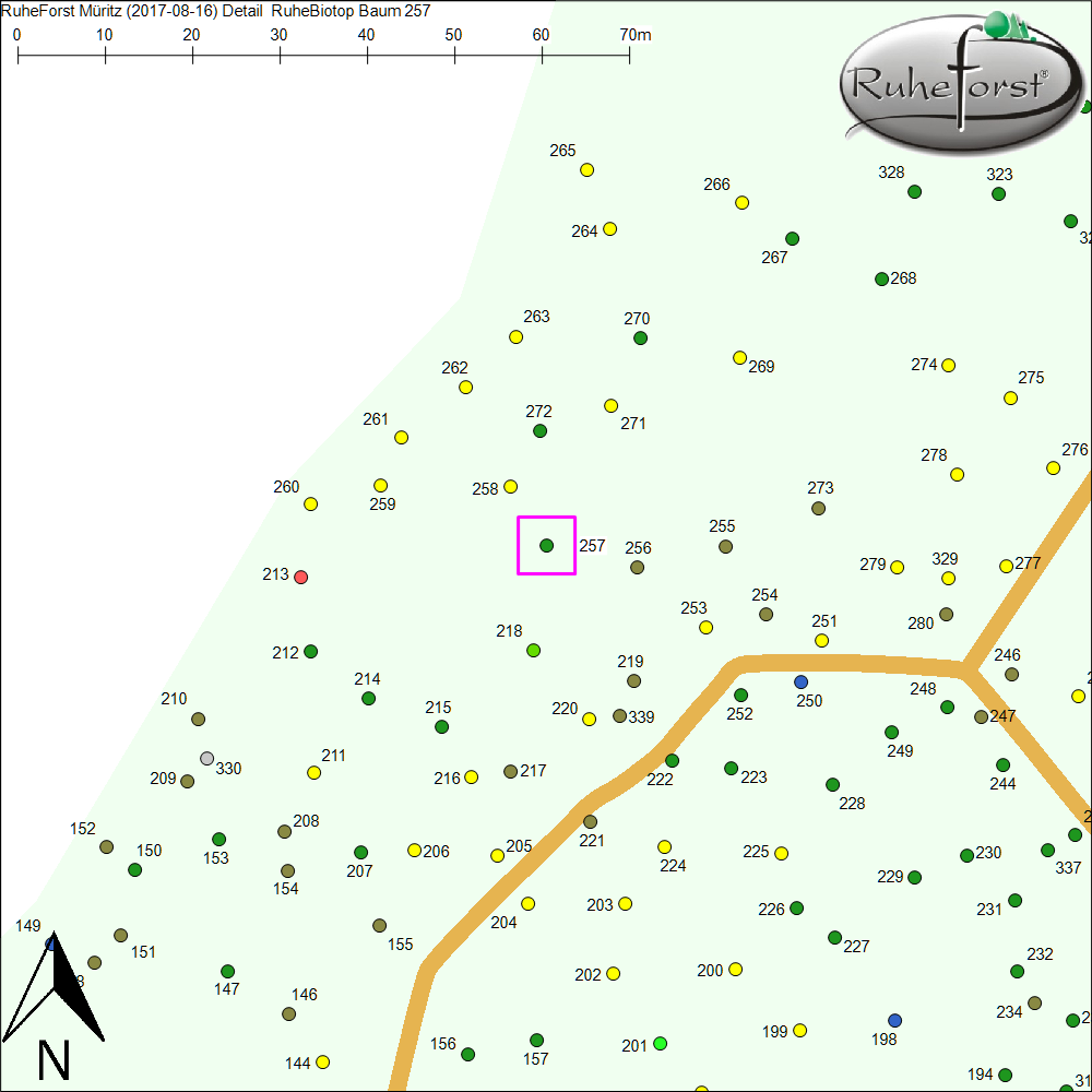 Detailkarte zu Baum 257