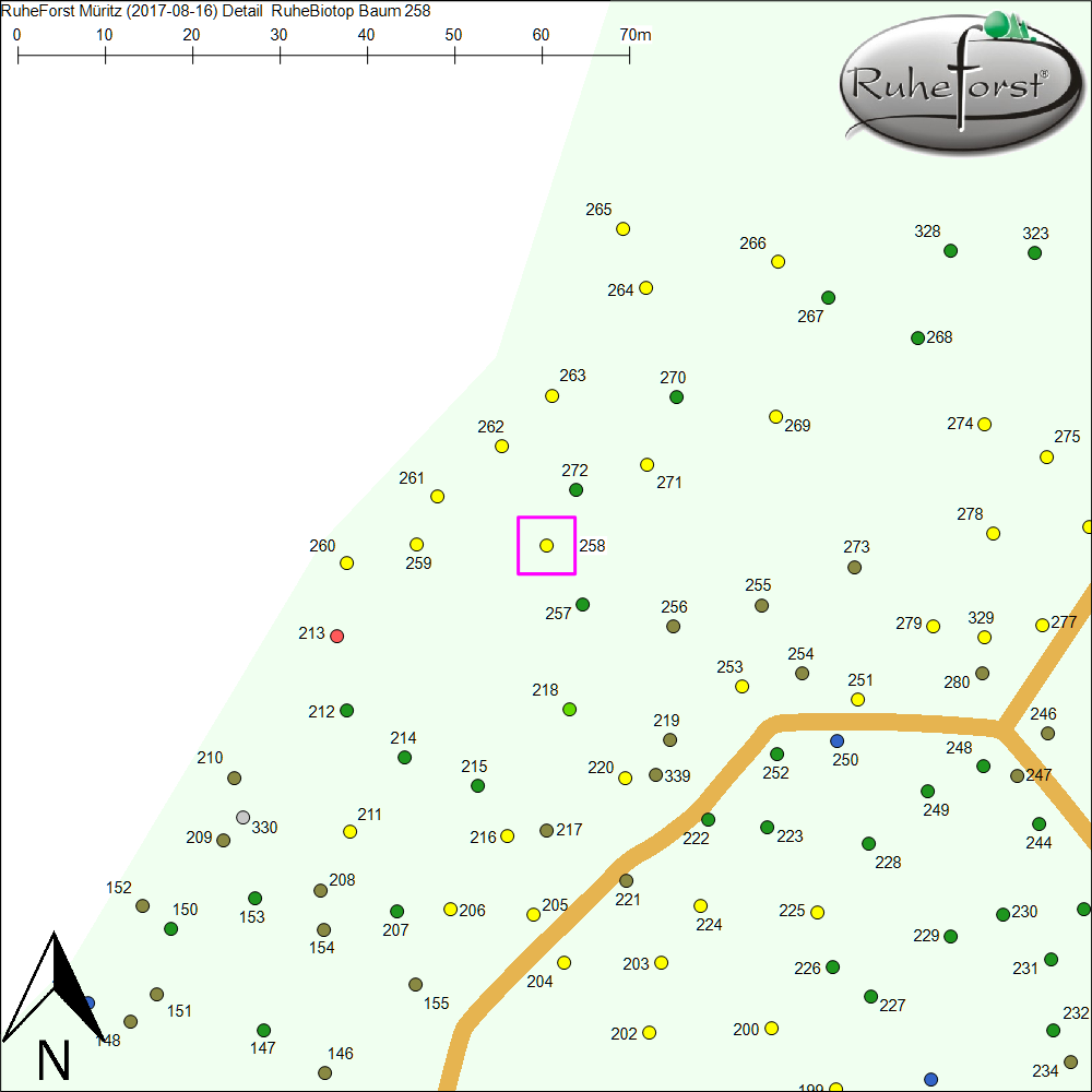 Detailkarte zu Baum 258
