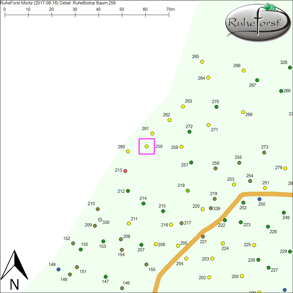 Detailkarte zu Baum 259