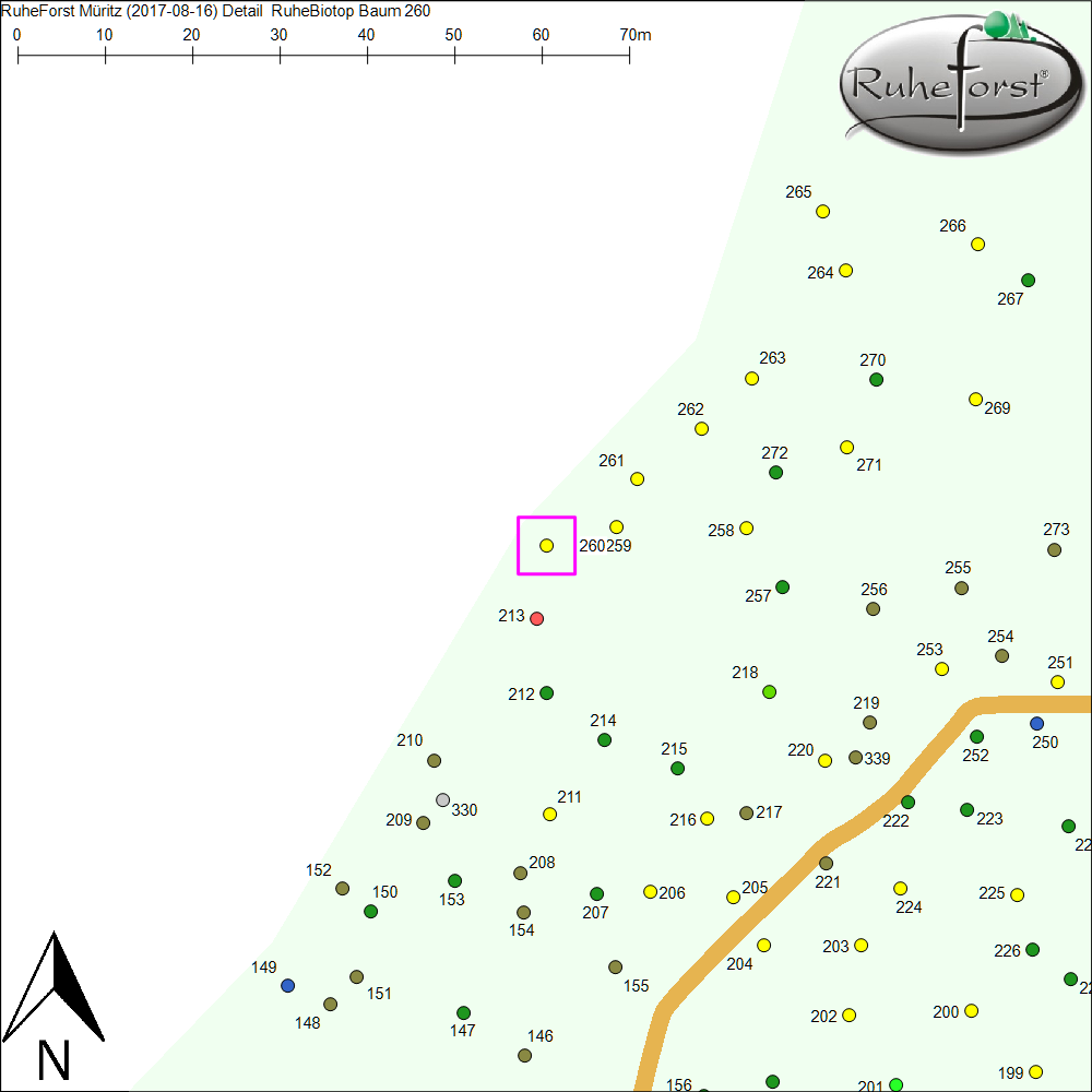 Detailkarte zu Baum 260