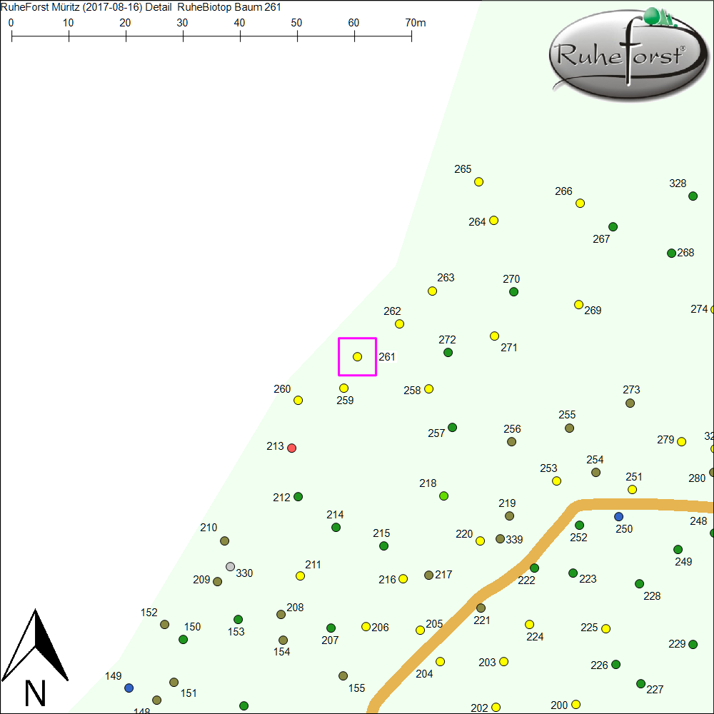 Detailkarte zu Baum 261