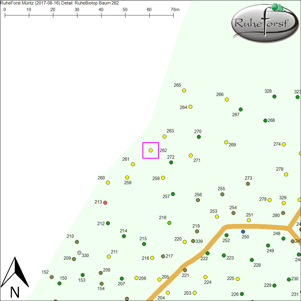 Detailkarte zu Baum 262