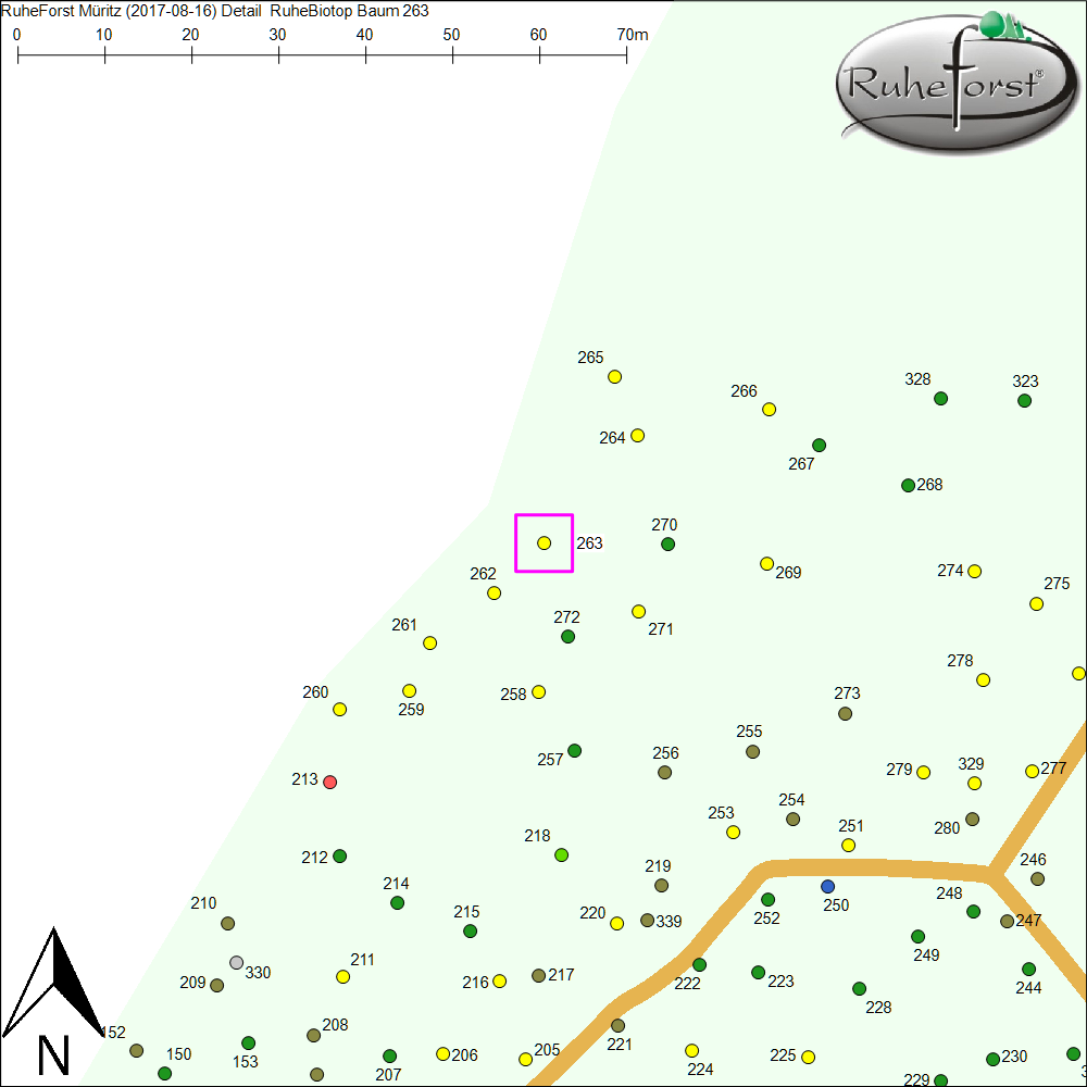 Detailkarte zu Baum 263