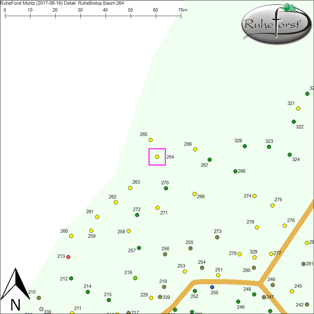 Detailkarte zu Baum 264