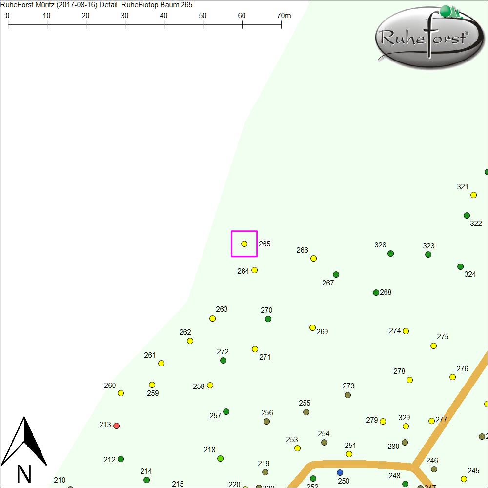 Detailkarte zu Baum 265