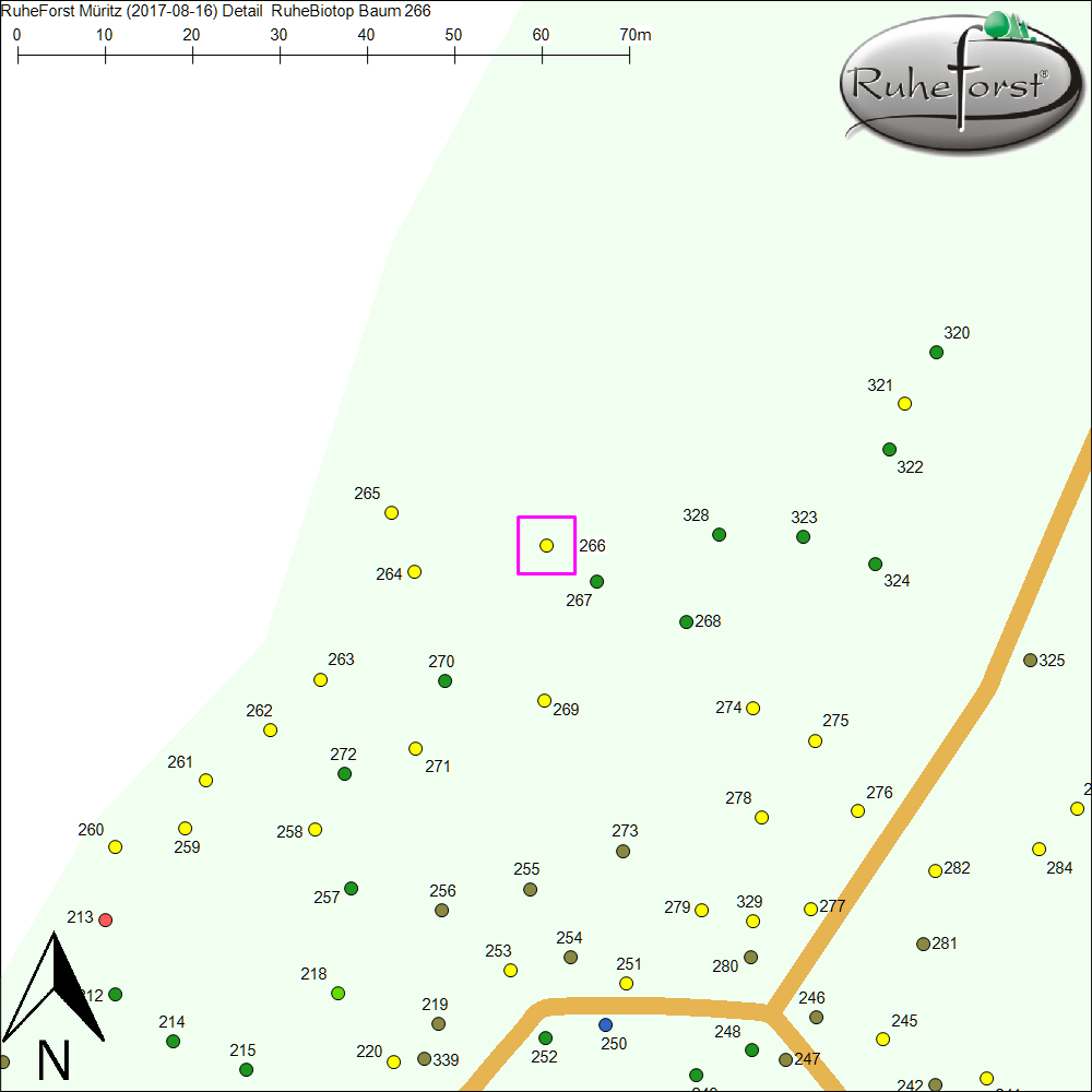 Detailkarte zu Baum 266